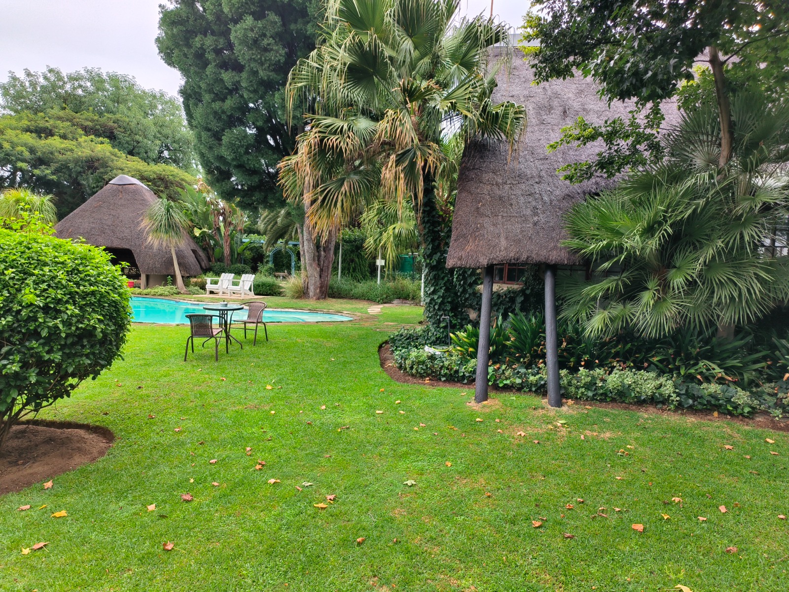 Manicured gardens, pool and thatched lapa at Lipizzaner Lodge, Kyalami